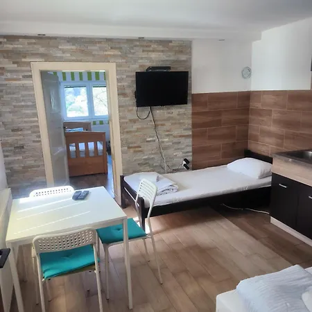 Kucica U Sumi Apartment Uzice Room photo